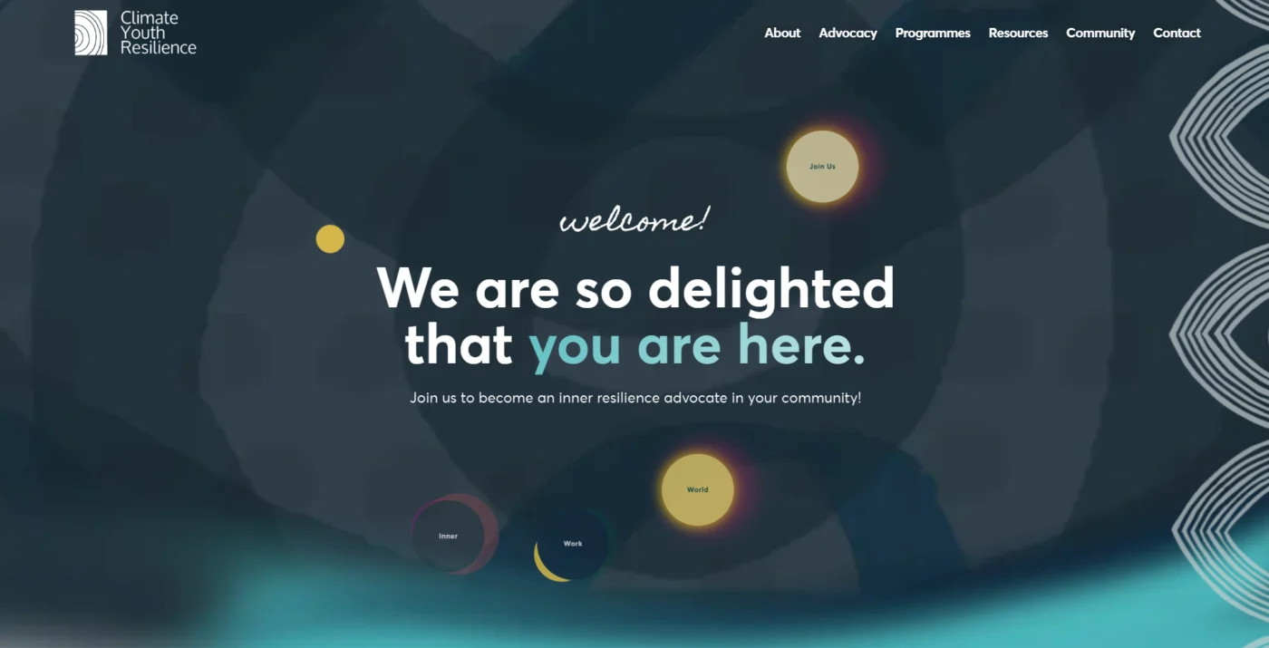 Our Latest Website Build: Development & Design